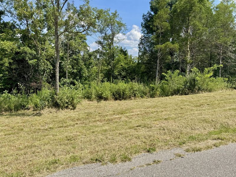 7.9 Acres Lawrenceville Road, Dry Ridge, KY 41035 Photo 13