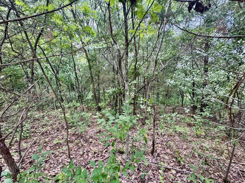 7.9 Acres Lawrenceville Road, Dry Ridge, KY 41035 Photo 4