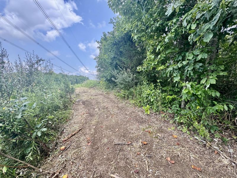 7.9 Acres Lawrenceville Road, Dry Ridge, KY 41035 Photo 6