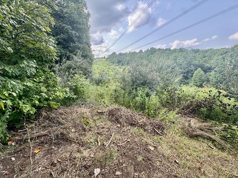 7.9 Acres Lawrenceville Road, Dry Ridge, KY 41035 Photo 8
