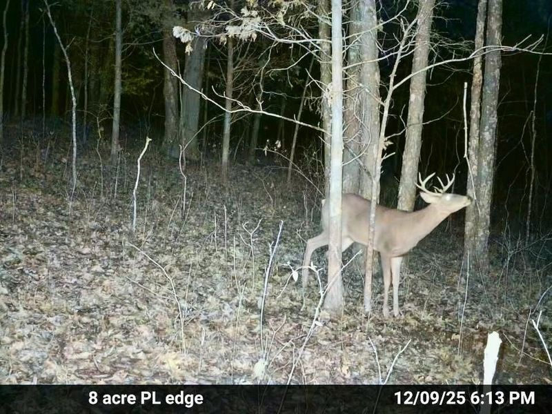 7.9 Acres Lawrenceville Road, Dry Ridge, KY 41035 Photo 9
