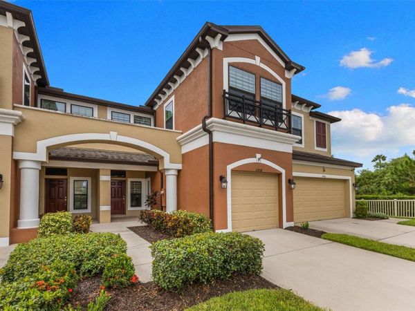 11458 CROWNED SPARROW LANE , TAMPA, FL 33626