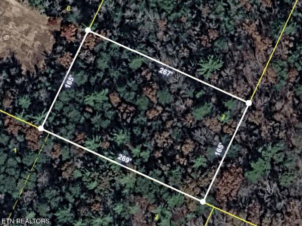 Lower Smithfield Rd, Tellico Plains, TN 37385