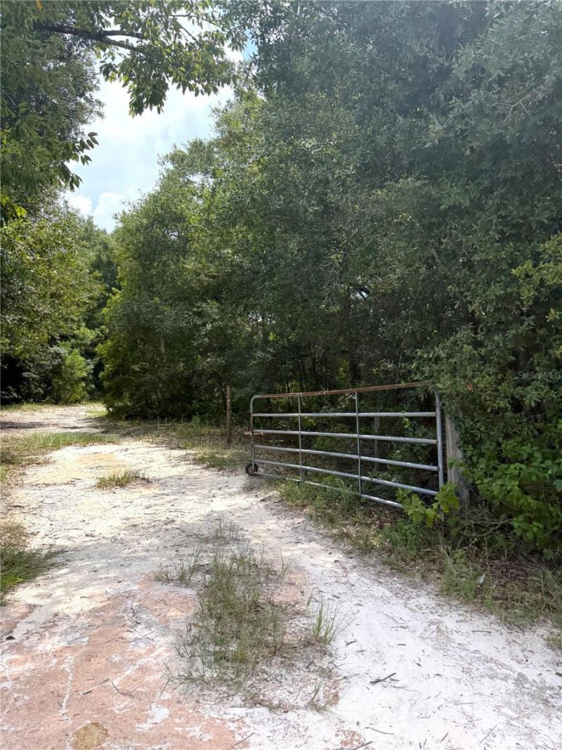 3255 Golden Gem Road, Apopka, FL 32712 Photo