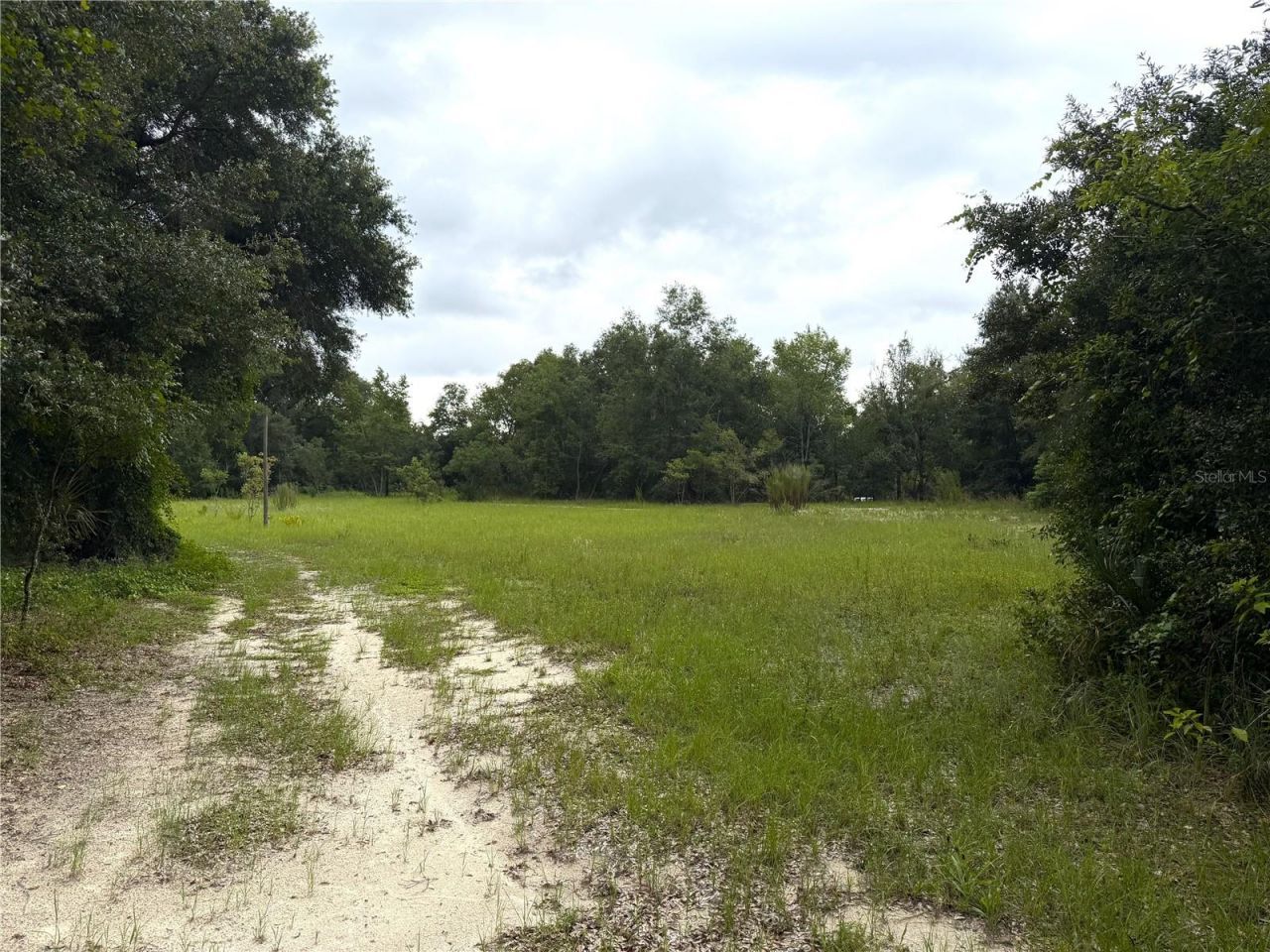 3255 Golden Gem Road, Apopka, FL 32712 Photo