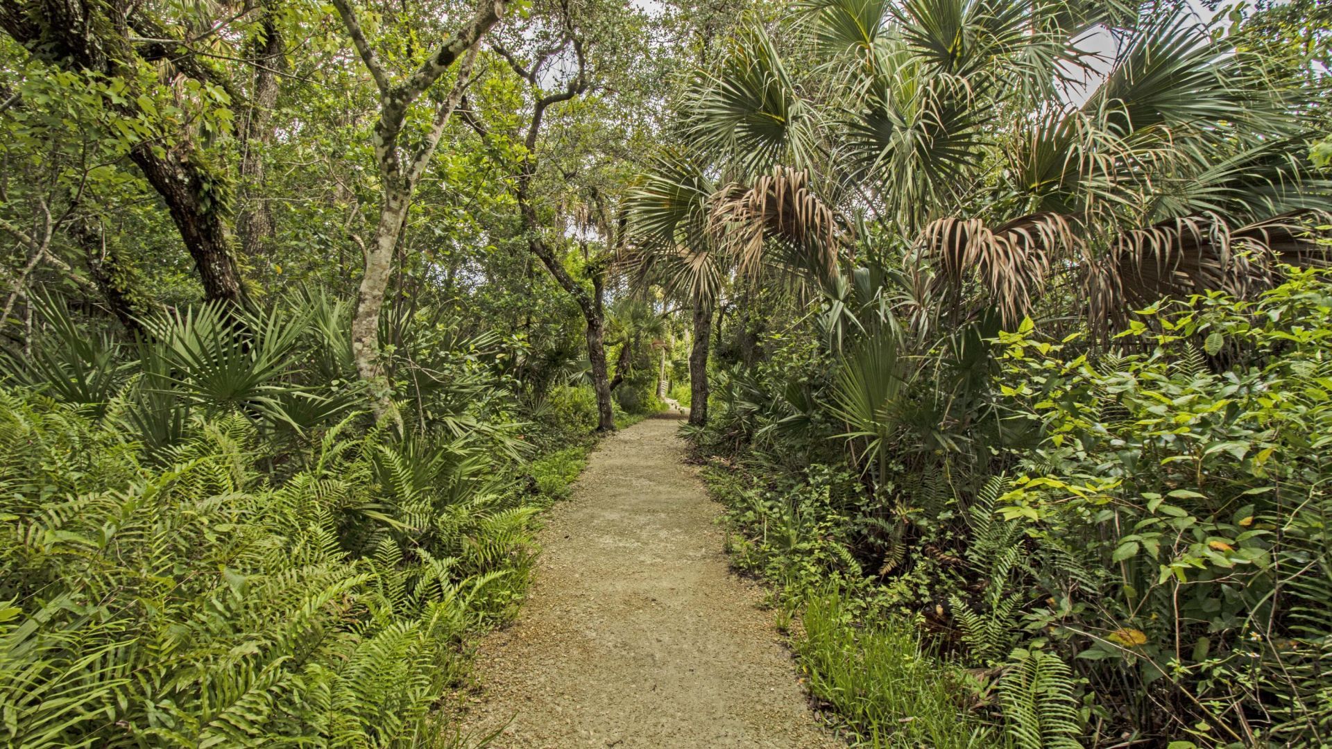 8883 SE Hobe Ridge Avenue Se, Hobe Sound, FL 33455 Photo