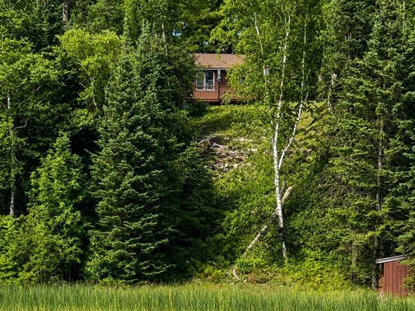 37800 Grave Lake Forest Road, Deer River, MN 56636