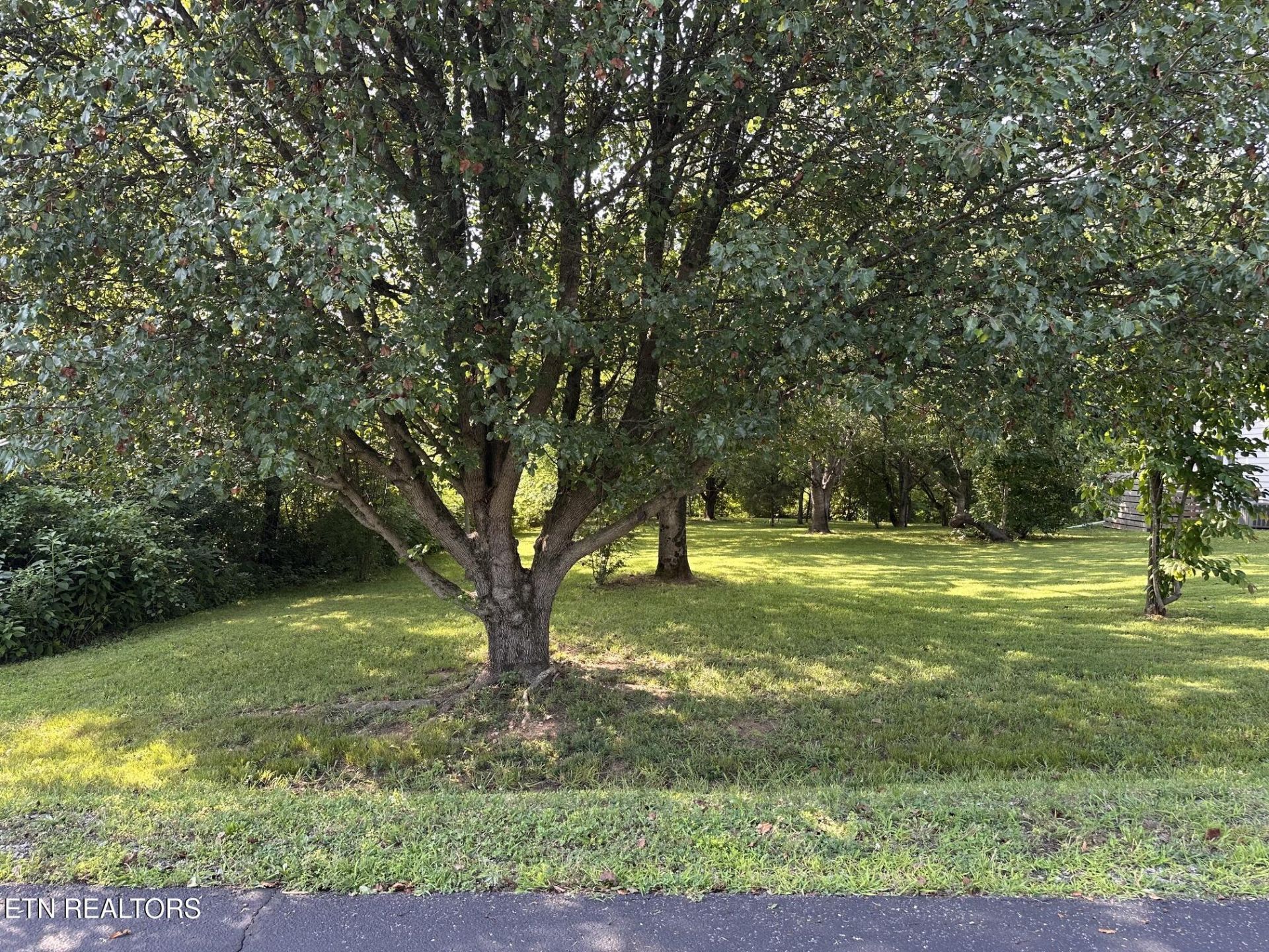 135 Ogana Way, Loudon, TN 37774 Main Photo