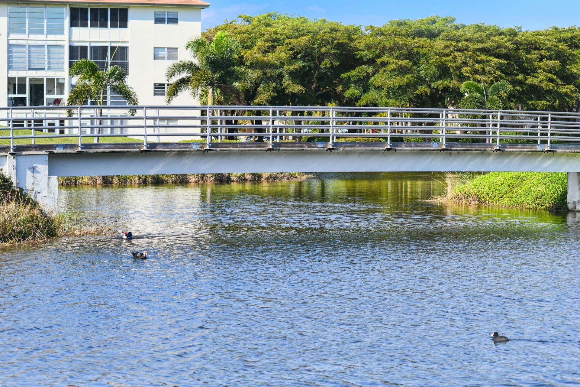 2006 Granada Drive, Unit J1, Coconut Creek, FL 33066 Photo