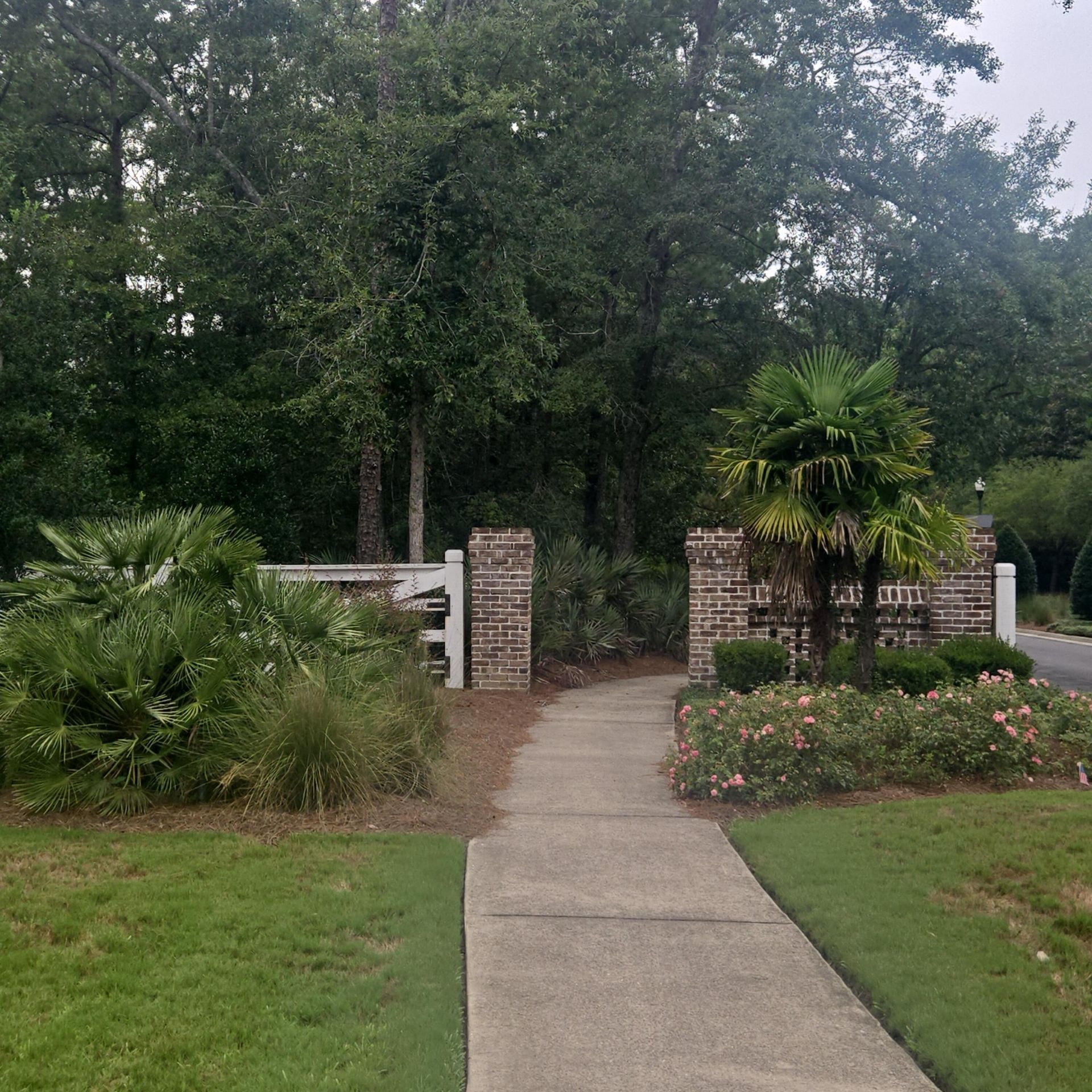104 Starling Street Photo 55