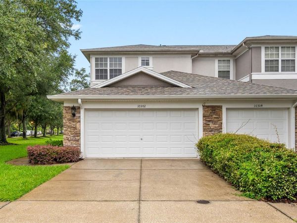 10302 STONE MOSS AVENUE , TAMPA, FL 33647