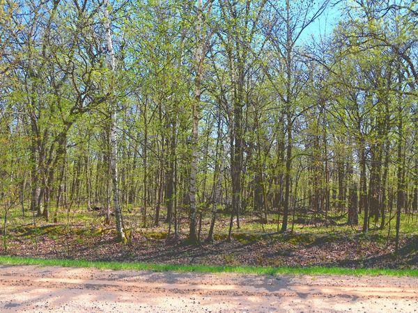 TBD 392 Street, Fawn Lake Twp, MN 56438