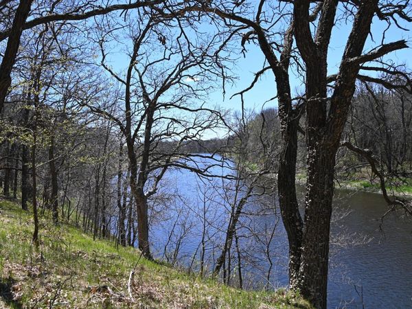 38869 Odin Court, Browerville, MN 56438