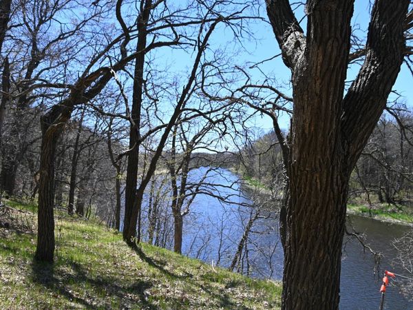 38903 Odin Court, Browerville, MN 56438