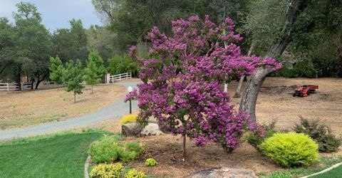 5062 Whisper Way, Granite Bay, CA 95746 Photo