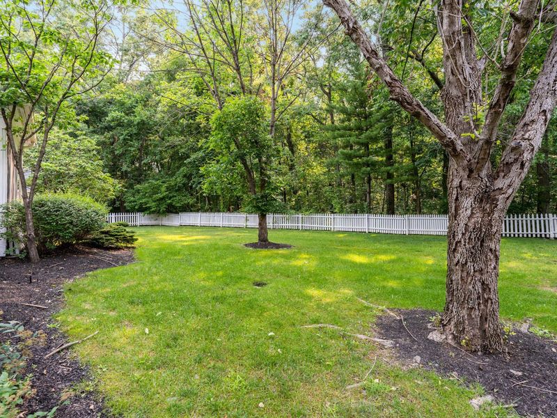 3516 Willow Grove, New Albany, OH 43054 Photo 5