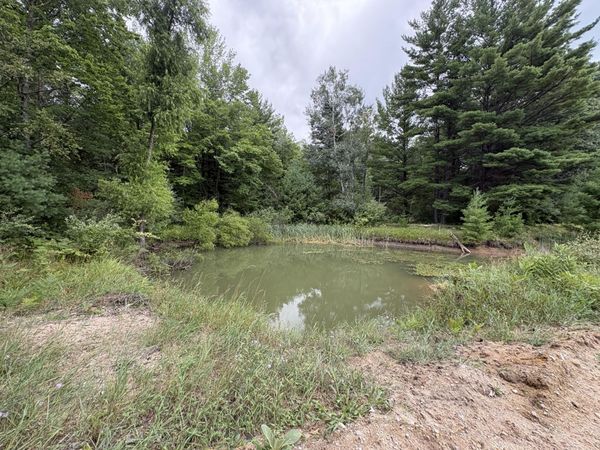 5 Mile Road, Morley, MI 49336