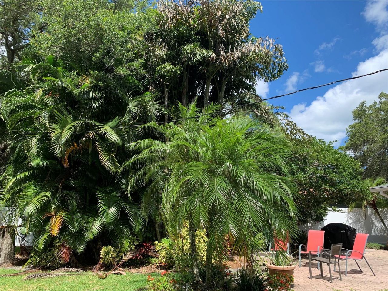 2436 Waldemere Street, Sarasota, FL 34239 Photo