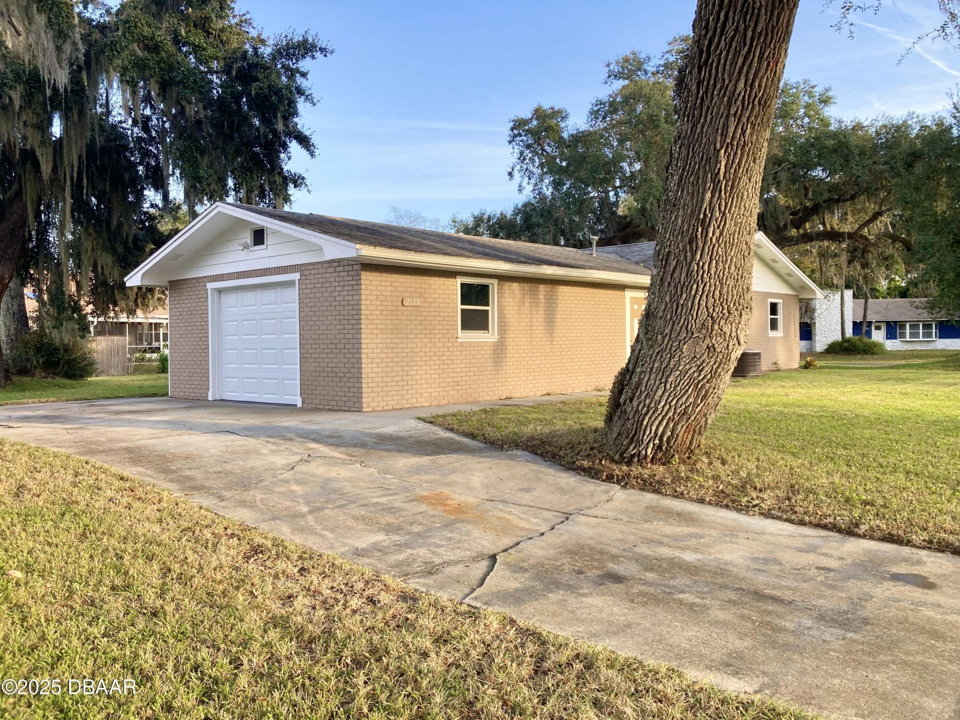 2129 Lime Tree Drive, Edgewater, FL 32141 Photo