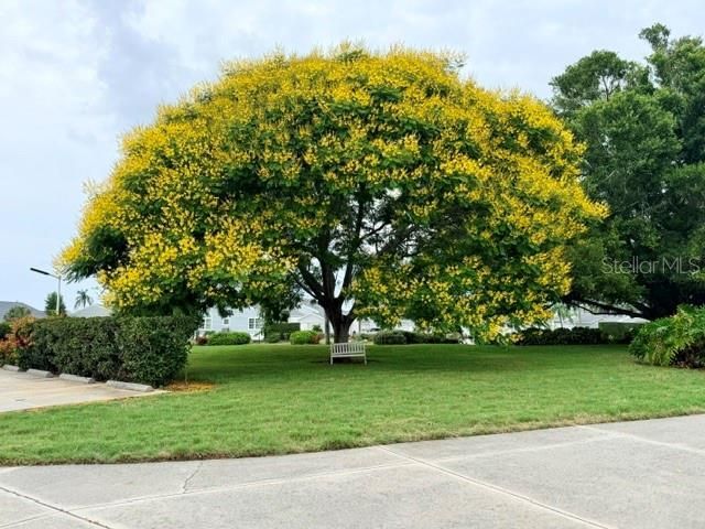 950 Waterside Lane, Bradenton, FL 34209 Photo