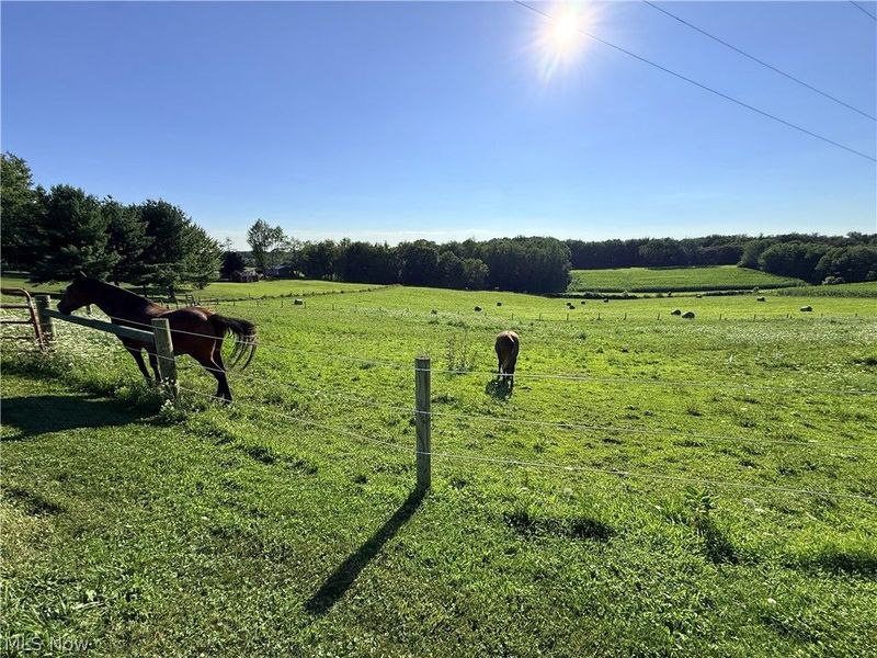 9268 County Road 39, Bloomingdale, OH 43910 Photo 38