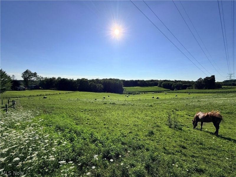 9268 County Road 39, Bloomingdale, OH 43910 Photo 39
