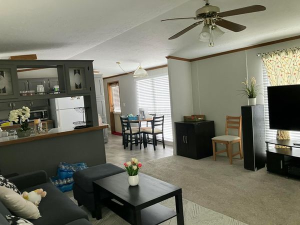 46 Birch Row Drive, Delaware, OH 43015