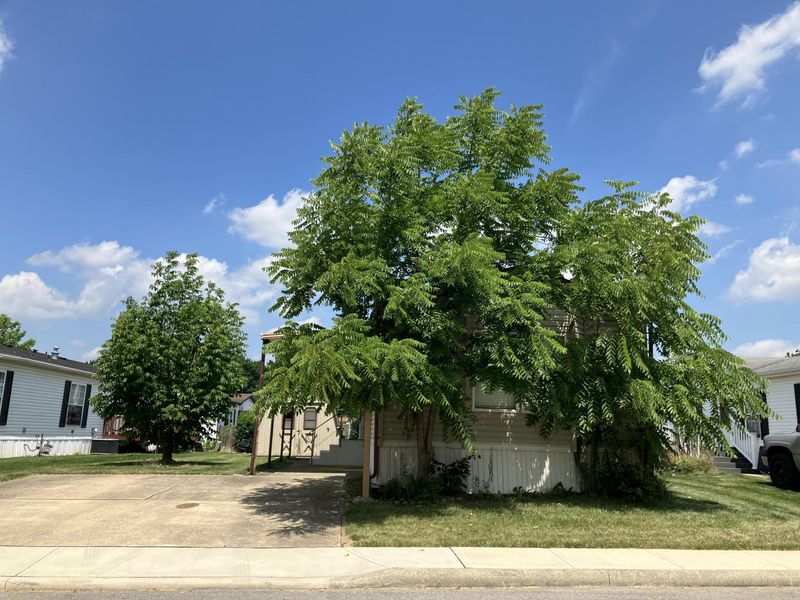 46 Birch Row Drive, Delaware, OH 43015 Photo 15