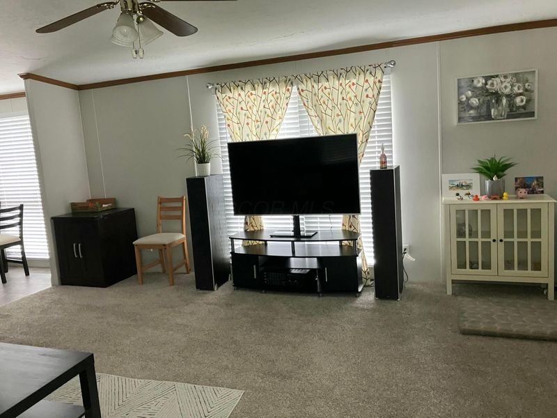 46 Birch Row Drive, Delaware, OH 43015 Photo 2