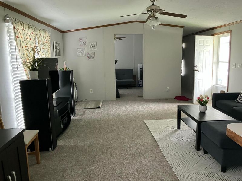 46 Birch Row Drive, Delaware, OH 43015 Photo 3
