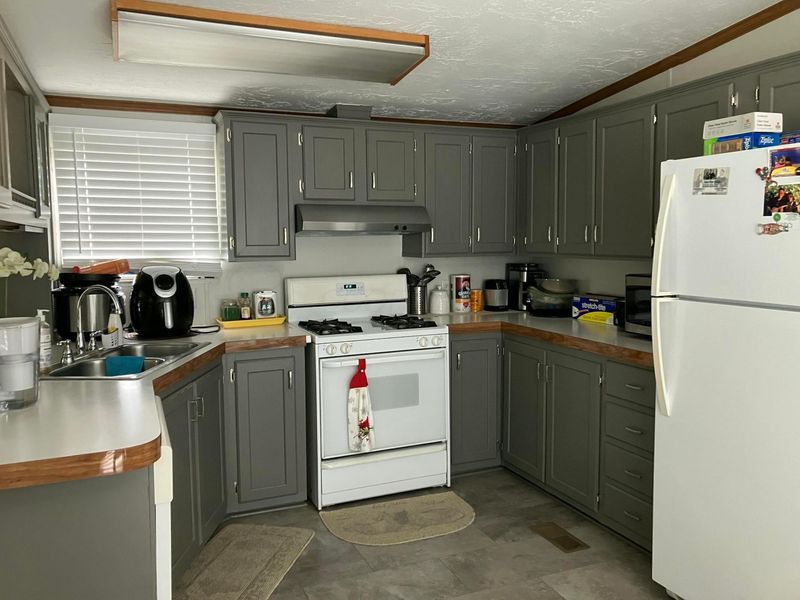 46 Birch Row Drive, Delaware, OH 43015 Photo 4