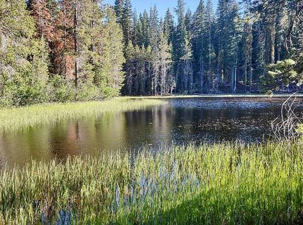 000 Forest Road , Soda Springs, CA 95728 Photo
