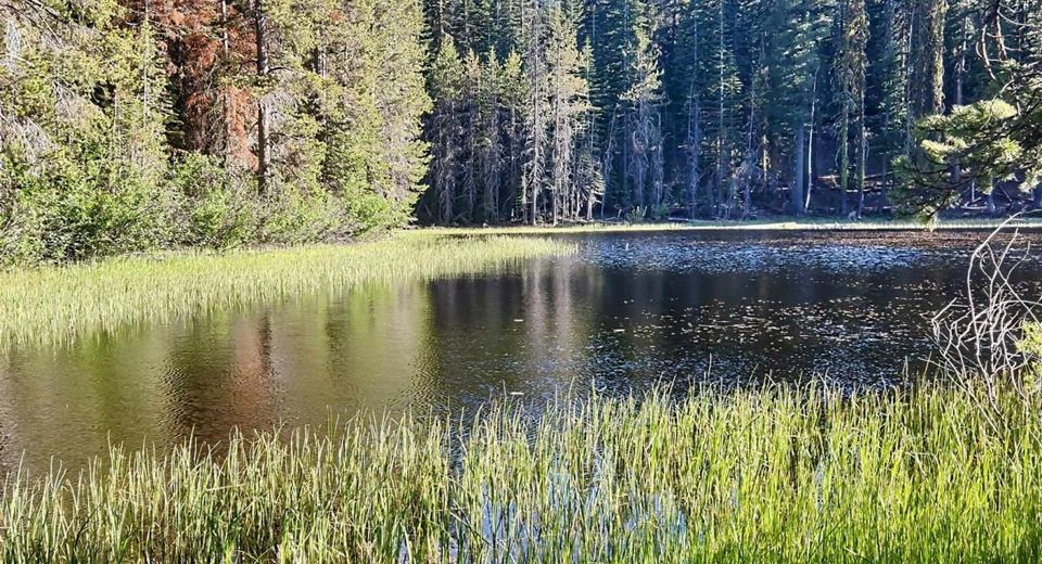 000 Forest Road , Soda Springs, CA 95728 Photo