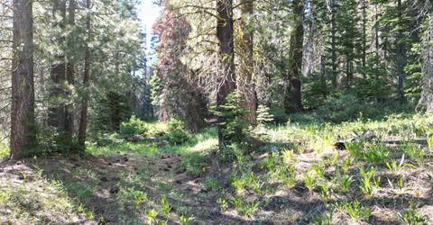 000 Forest Road , Soda Springs, CA 95728 Photo