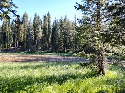000 Forest Road , Soda Springs, CA 95728 Photo