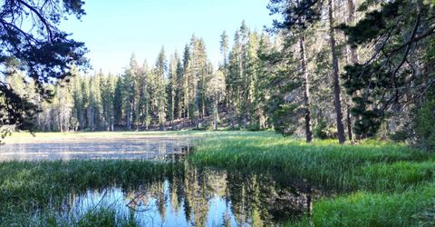 000 Forest Road , Soda Springs, CA 95728 Photo