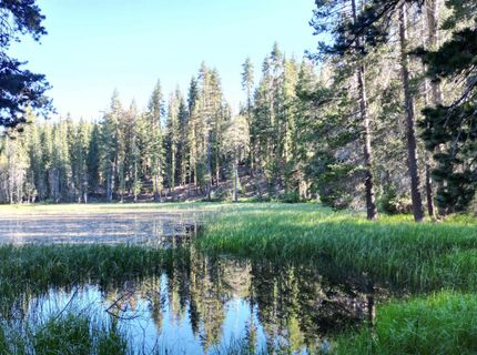 000 Forest Road , Soda Springs, CA 95728 Photo