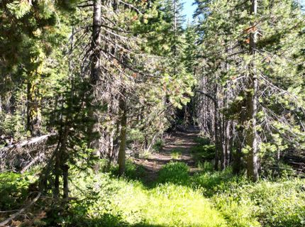 000 Forest Road , Soda Springs, CA 95728 Photo