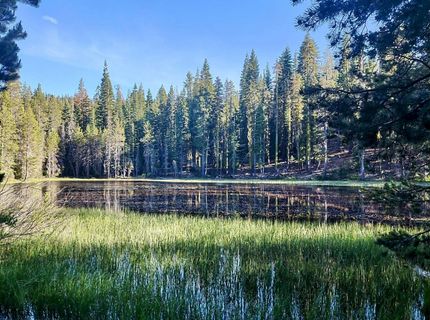 000 Forest Road , Soda Springs, CA 95728 Photo