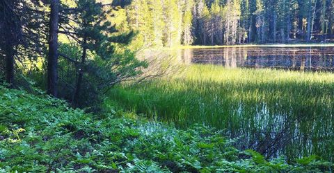 000 Forest Road , Soda Springs, CA 95728 Photo