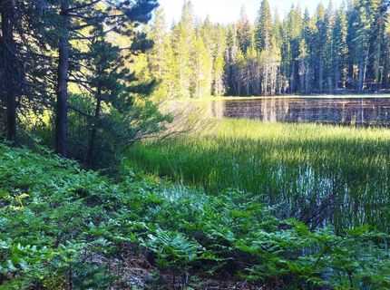 000 Forest Road , Soda Springs, CA 95728 Photo