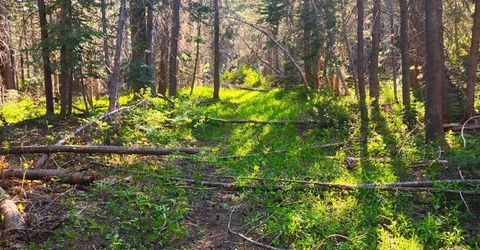 000 Forest Road , Soda Springs, CA 95728 Photo