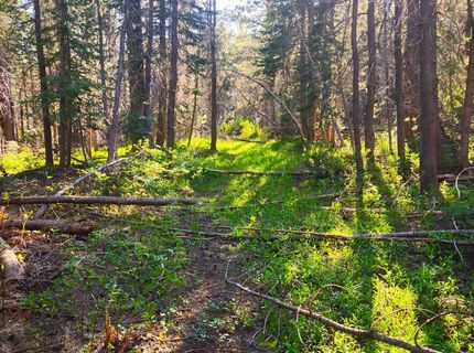 000 Forest Road , Soda Springs, CA 95728 Photo