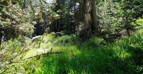 000 Forest Road , Soda Springs, CA 95728 Photo