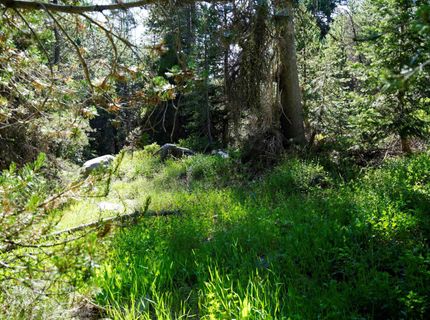 000 Forest Road , Soda Springs, CA 95728 Photo