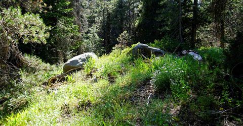 000 Forest Road , Soda Springs, CA 95728 Photo