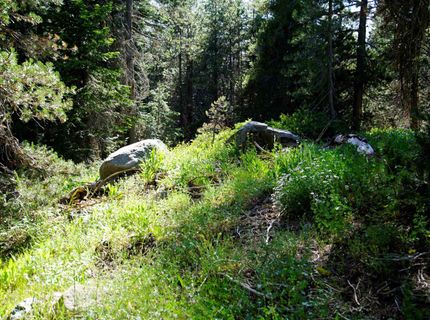 000 Forest Road , Soda Springs, CA 95728 Photo
