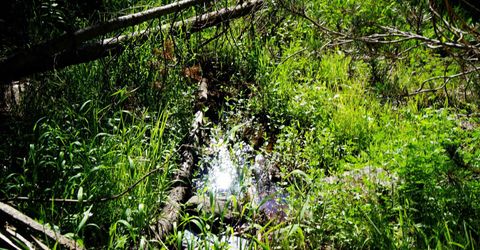 000 Forest Road , Soda Springs, CA 95728 Photo