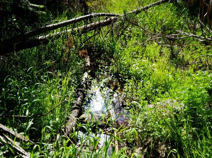 000 Forest Road , Soda Springs, CA 95728 Photo