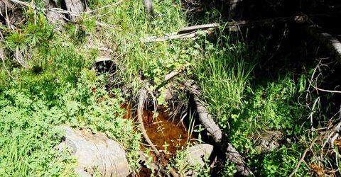 000 Forest Road , Soda Springs, CA 95728 Photo